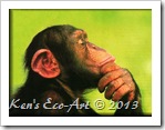 chimp-thinking