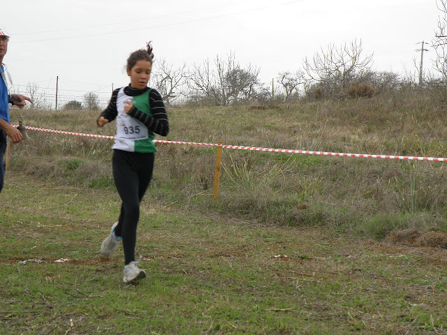 PB120220.JPG