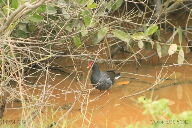 [IMG_9875%255B5%255D.jpg]