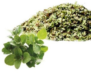 oregano