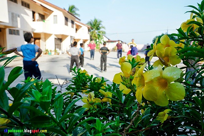 DSC03850 DSC03850