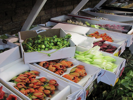Boxes of tulips lay displayed.