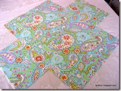 paisley lining