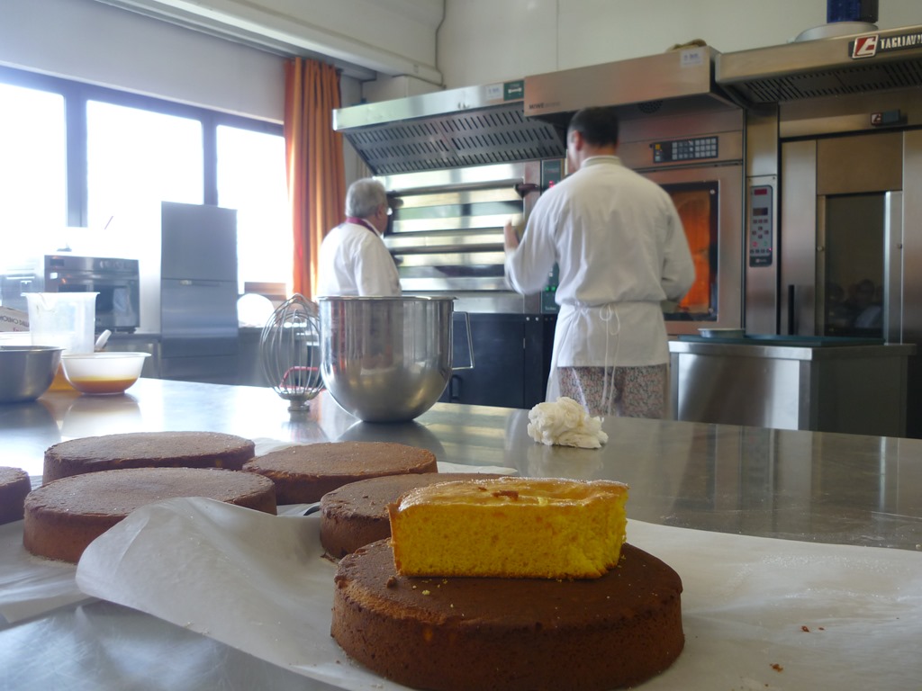 [ciambella%2520di%2520achile%2520zoia%255B3%255D.jpg]