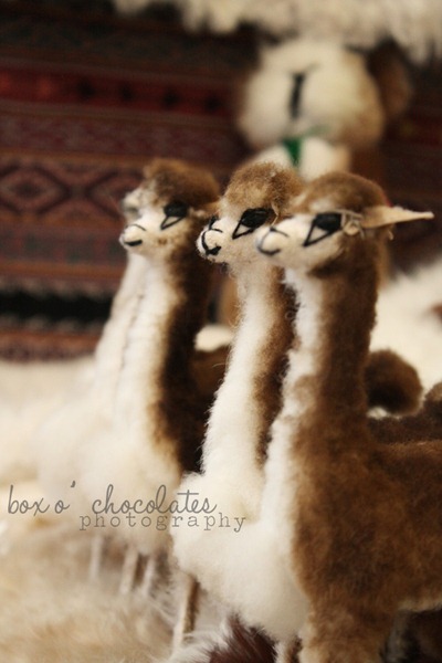 Fuzzy Llama2