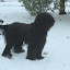 DSC_9261.JPG