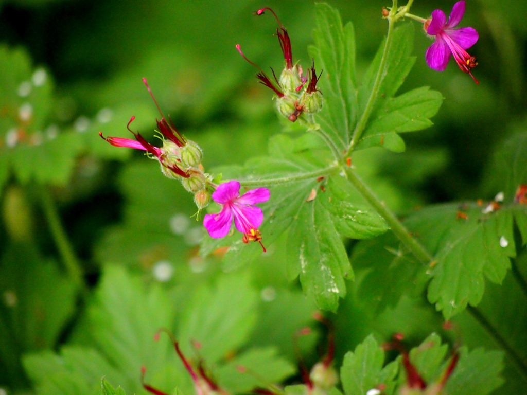 [13%2520July%25204%252003-07-2013%252011-42-47%255B3%255D.jpg]