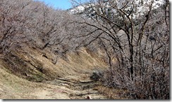 may2011lambscanyon18