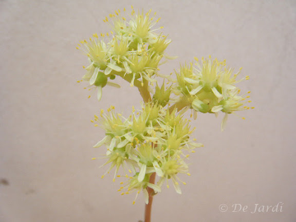 2012_07130014.jpg