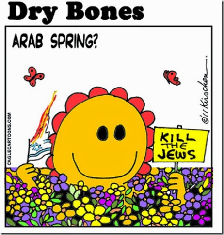 Sun-shiny Arab Spring- Kill Jews toon