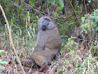 Tanzania Highlights 2012 Slideshow