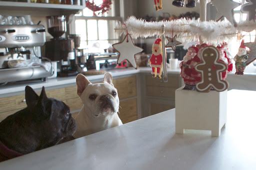 Francesca, don't you think that it's really starting to look a lot like Christmas around here?