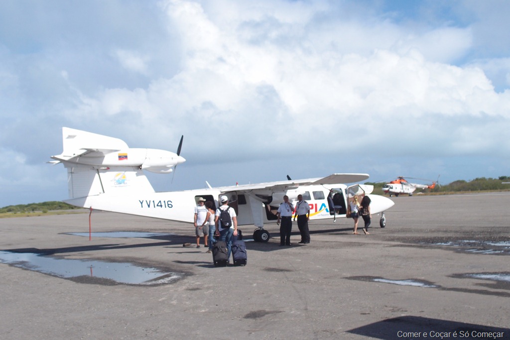 [P10652113.jpg]