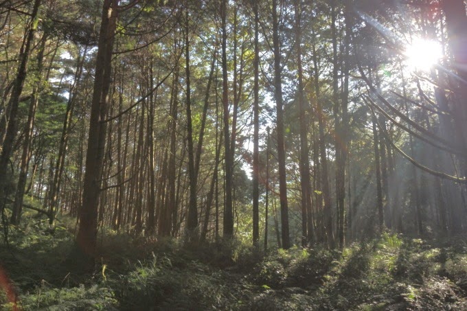 2014_1005_073307 2014_1005_073307