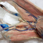 DSCN4444.JPG