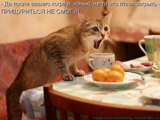 [a2ec7b1bdb%255B2%255D.jpg]