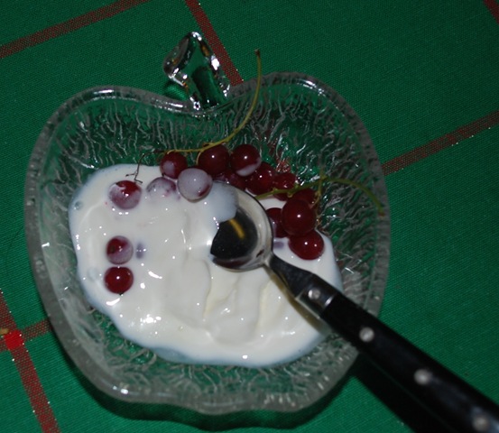 [2012-01%2520Red%2520Currants%2520and%2520Ice%2520Cream%255B10%255D.jpg]