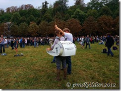 Rock en Seine 2012 (2)