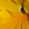 IMG_1010.JPG