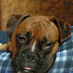 DSC_0006.jpg
