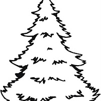 dji_green_pinetree_b.jpg