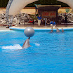 2010-05-09 Lipperswill (374).jpg