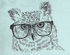 art-bird-drawing-glasses-hipster-owl-Favim.com-63324
