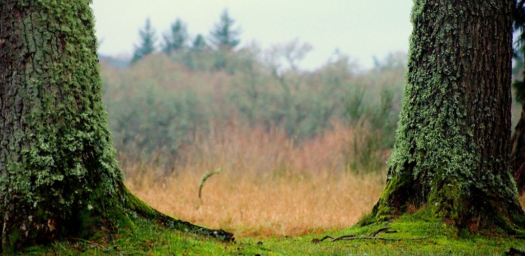 [19%2520Jan%25205-001%255B3%255D.jpg]