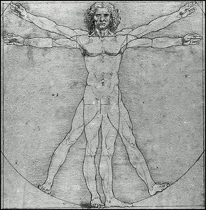 davinci_man