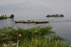 IMG_5723.JPG