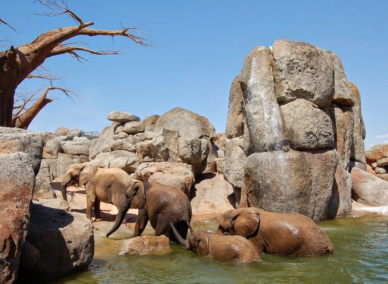 Bioparc Valencia