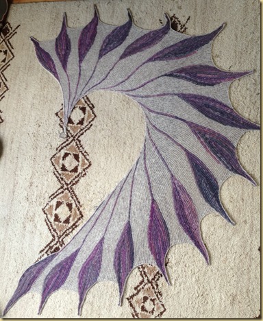 IMG_2607 IMG_2607