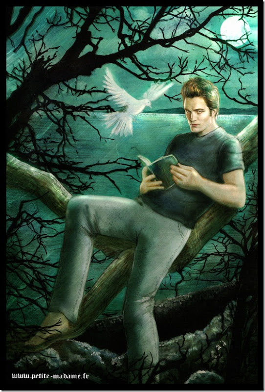 twilight (5) twilight (5)