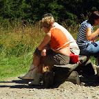 DSCF3959.jpg DSCF3959.jpg