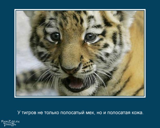 [clip_image004%255B3%255D.jpg]