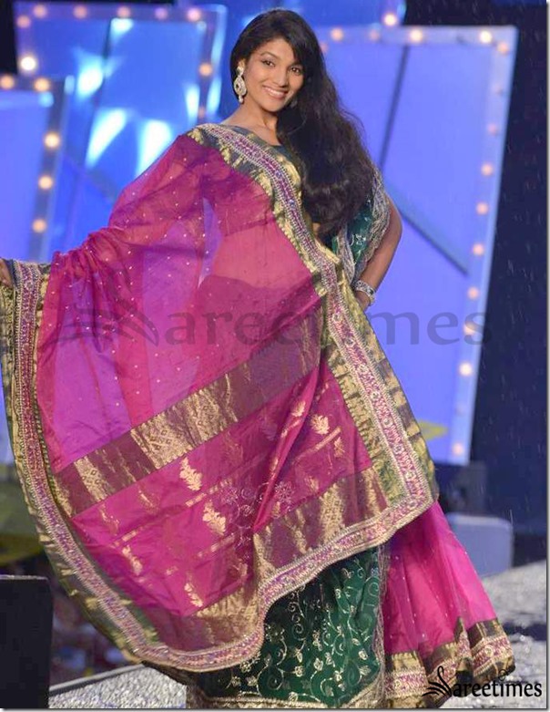 Shaina_NC_Sarees (2)