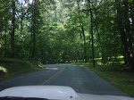 IMG00327-20090810-1058.jpg