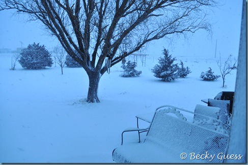 02-12-13 snow 4 02-12-13 snow 4