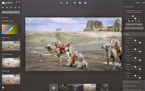 polarr polarr