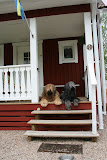 Zweden 2008 052.jpg