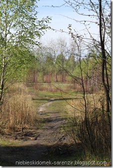 IMG_3536m IMG_3536m