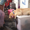 20060819_22_kenting_090.jpg