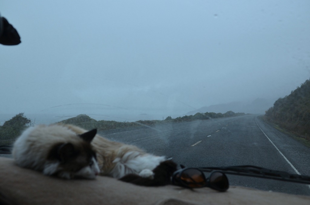 [brookings%2520north_49%255B4%255D.jpg]