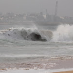 IMG_5523.JPG