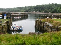 IMG_0659 IMG_0659