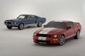 Shelby-Caroll-80