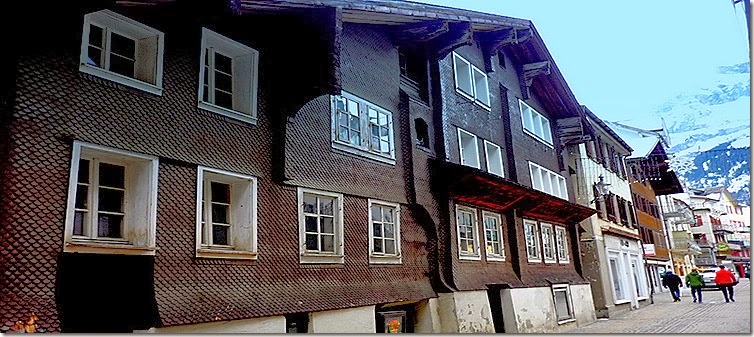 P1090388 P1090388