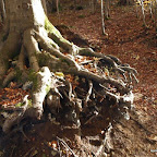 20091101 Allgaeu 0263 [640x480].JPG