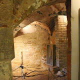 IMG_1529.jpg
