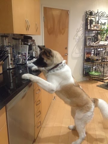 [059%255B3%255D.jpg]